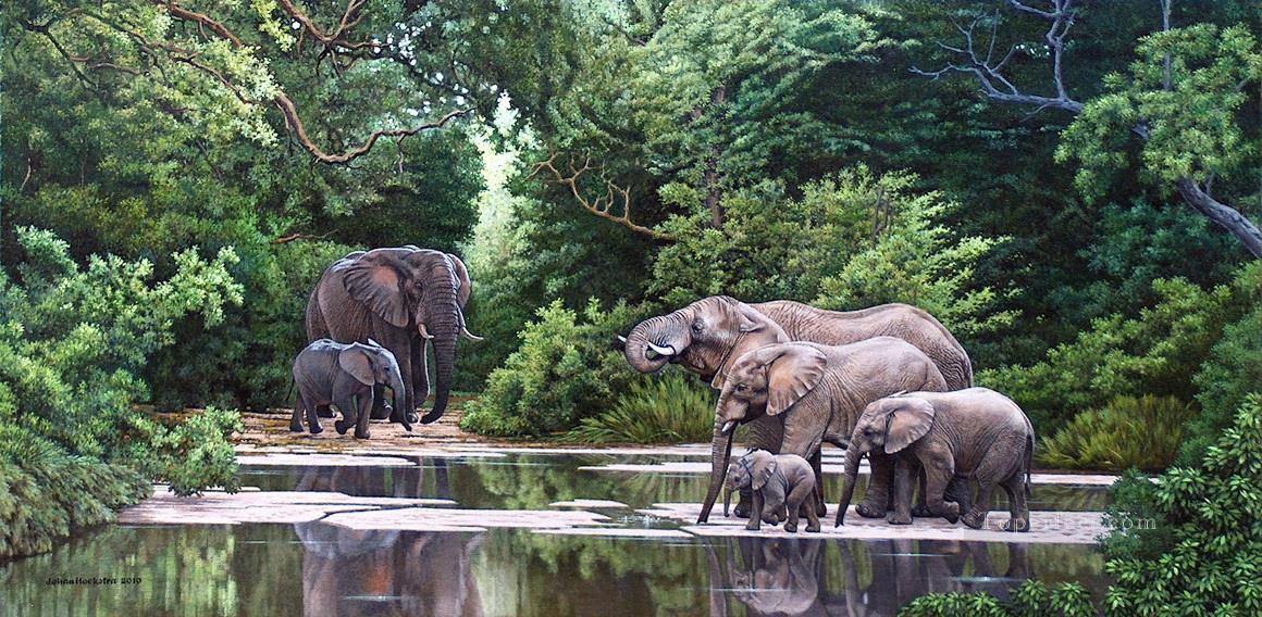 elephant herd at secluded river Oil Paintings